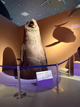 特別展「いきもの超ワールド展　国立科学博物館×ダーウィンが来た！」（国立科学博物館）に投稿された画像（2026/8/27）