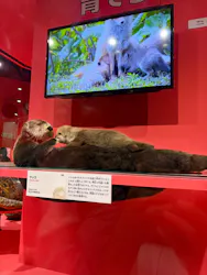 特別展「いきもの超ワールド展　国立科学博物館×ダーウィンが来た！」（国立科学博物館）に投稿された画像（2026/8/27）