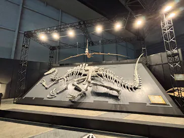 ヨコハマ恐竜展２０２６～恐竜の食卓大図鑑～に投稿された画像（2026/8/27）