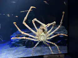 サンシャイン水族館に投稿された画像（2026/8/27）