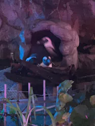 サンシャイン水族館に投稿された画像（2026/8/27）