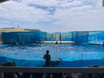 新江ノ島水族館に投稿された画像（2026/8/27）