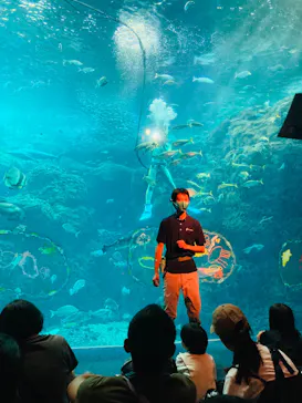 新江ノ島水族館に投稿された画像（2026/8/27）