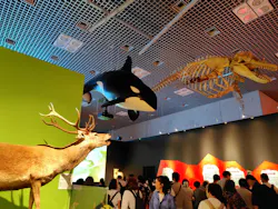 特別展「いきもの超ワールド展　国立科学博物館×ダーウィンが来た！」（国立科学博物館）に投稿された画像（2026/8/27）