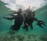 武藤潜水に投稿された画像（2026/8/27）