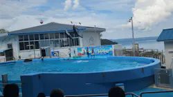 のとじま水族館に投稿された画像（2026/8/27）