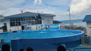 のとじま水族館に投稿された画像（2026/8/27）