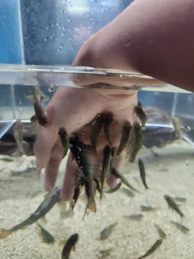 のとじま水族館に投稿された画像（2026/8/27）