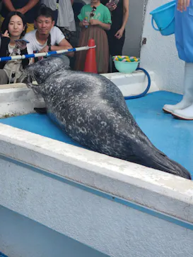 のとじま水族館に投稿された画像（2026/8/27）