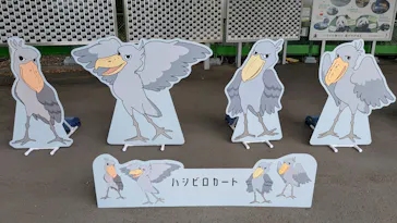 上野動物園 ハシビロカートに投稿された画像（2026/8/27）