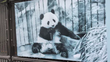 上野動物園 ハシビロカートに投稿された画像（2026/8/27）