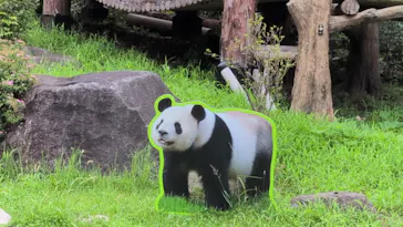 上野動物園 ハシビロカートに投稿された画像（2026/8/27）