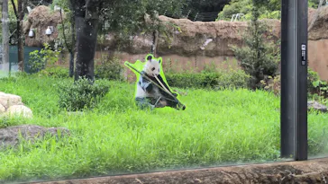 上野動物園 ハシビロカートに投稿された画像（2026/8/27）