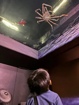 竹島水族館に投稿された画像（2026/8/27）