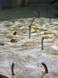 AQUARIUM × ART　atoaに投稿された画像（2026/8/27）
