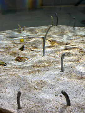 AQUARIUM × ART　atoaに投稿された画像（2026/8/27）