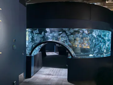 京都水族館に投稿された画像（2026/8/27）