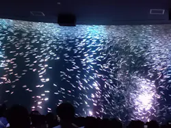 名古屋港水族館に投稿された画像（2026/8/27）