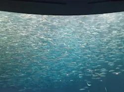 名古屋港水族館に投稿された画像（2026/8/27）
