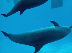 名古屋港水族館に投稿された画像（2026/8/27）