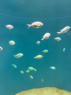 葛西臨海水族園に投稿された画像（2026/8/27）