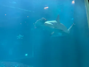 葛西臨海水族園に投稿された画像（2026/8/27）