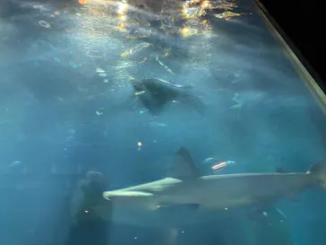 葛西臨海水族園に投稿された画像（2026/8/27）