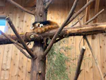 伊豆シャボテン動物公園に投稿された画像（2026/8/27）
