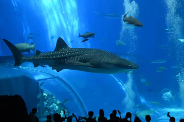 ジャンボツアーズに投稿された画像（2026/8/27）