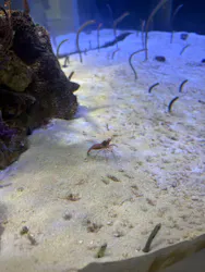 名古屋港水族館に投稿された画像（2026/8/27）