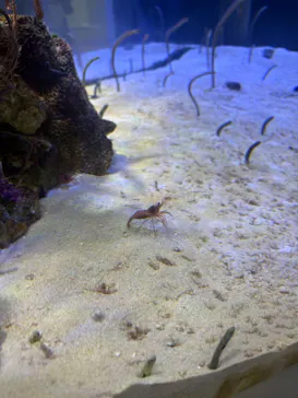 名古屋港水族館に投稿された画像（2026/8/27）