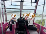 かんざんじロープウェイに投稿された画像（2026/8/27）