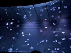 サンシャイン水族館に投稿された画像（2026/8/27）