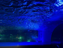 サンシャイン水族館に投稿された画像（2026/8/27）