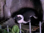 サンシャイン水族館に投稿された画像（2026/8/27）