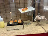 アクアワールド茨城県大洗水族館に投稿された画像（2026/8/27）