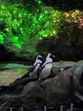 サンシャイン水族館に投稿された画像（2026/8/27）