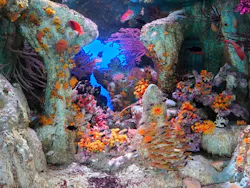 サンシャイン水族館に投稿された画像（2026/8/27）