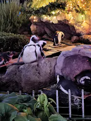 サンシャイン水族館に投稿された画像（2026/8/27）