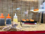 アクアワールド茨城県大洗水族館に投稿された画像（2026/8/27）