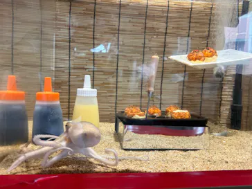 アクアワールド茨城県大洗水族館に投稿された画像（2026/8/27）