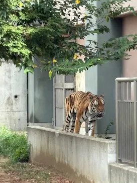 天王寺動物園に投稿された画像（2026/8/27）