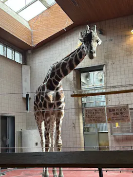 天王寺動物園に投稿された画像（2026/8/27）