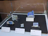 国立科学博物館に投稿された画像（2026/8/27）