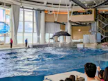 アクアワールド茨城県大洗水族館に投稿された画像（2026/8/27）