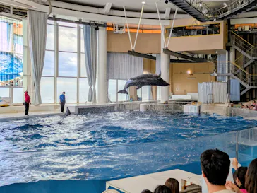 アクアワールド茨城県大洗水族館に投稿された画像（2026/8/27）
