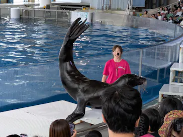 アクアワールド茨城県大洗水族館に投稿された画像（2026/8/27）
