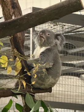 多摩動物公園に投稿された画像（2026/8/27）