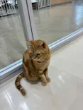 Cat Café MOFF アリオ倉敷店に投稿された画像（2026/8/28）
