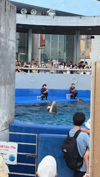 大分マリーンパレス水族館 「うみたまご」に投稿された画像（2026/8/28）